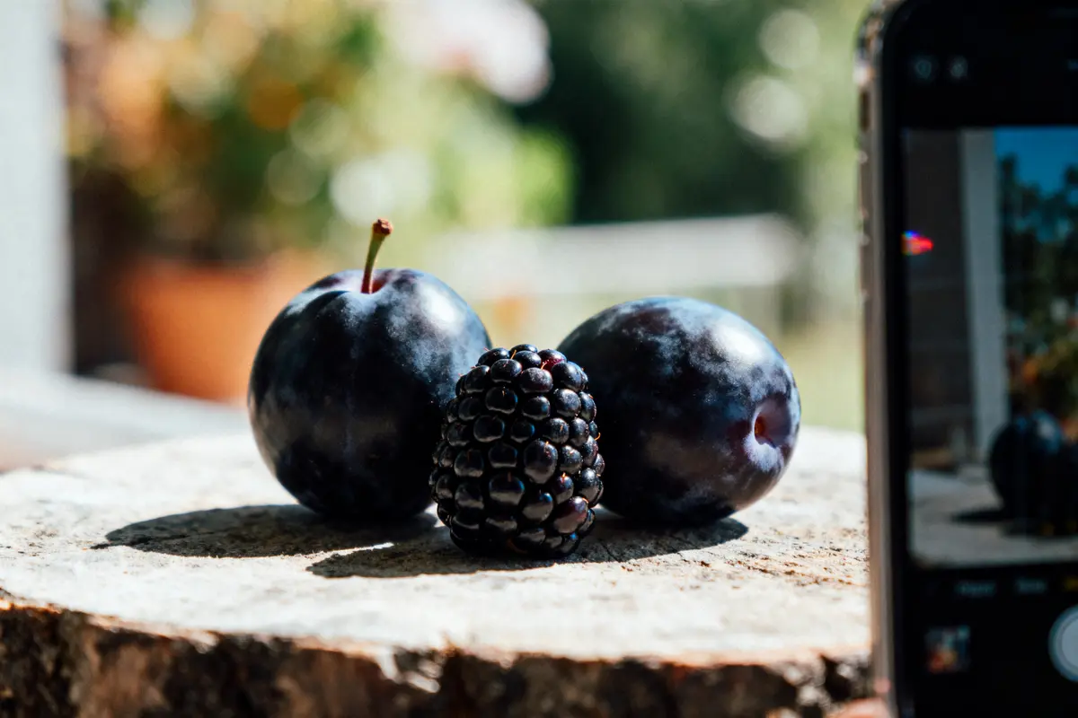 pexels-michal-pech-213601-757318 (1) Deux prunes et une mûre sur tronc, arrière-plan flou, téléphone visible à droite.