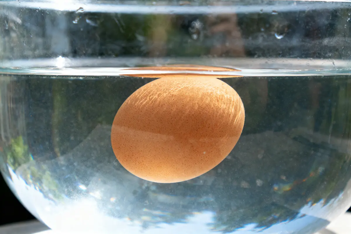 Un œuf brun flotte dans un bol d'eau transparente.