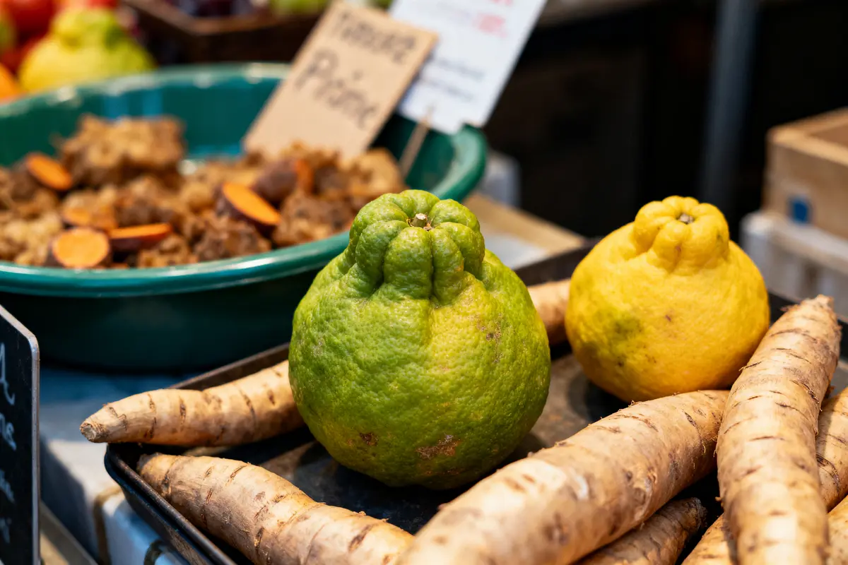Deux cédrats et racines de persil sur un étal de marché avec autres légumes en arrière-plan.