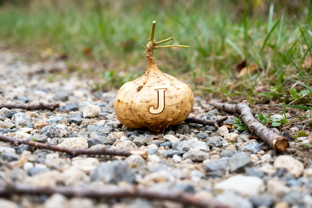 Légume en J posé sur un chemin gravillonné entouré de branches et d'herbes vertes